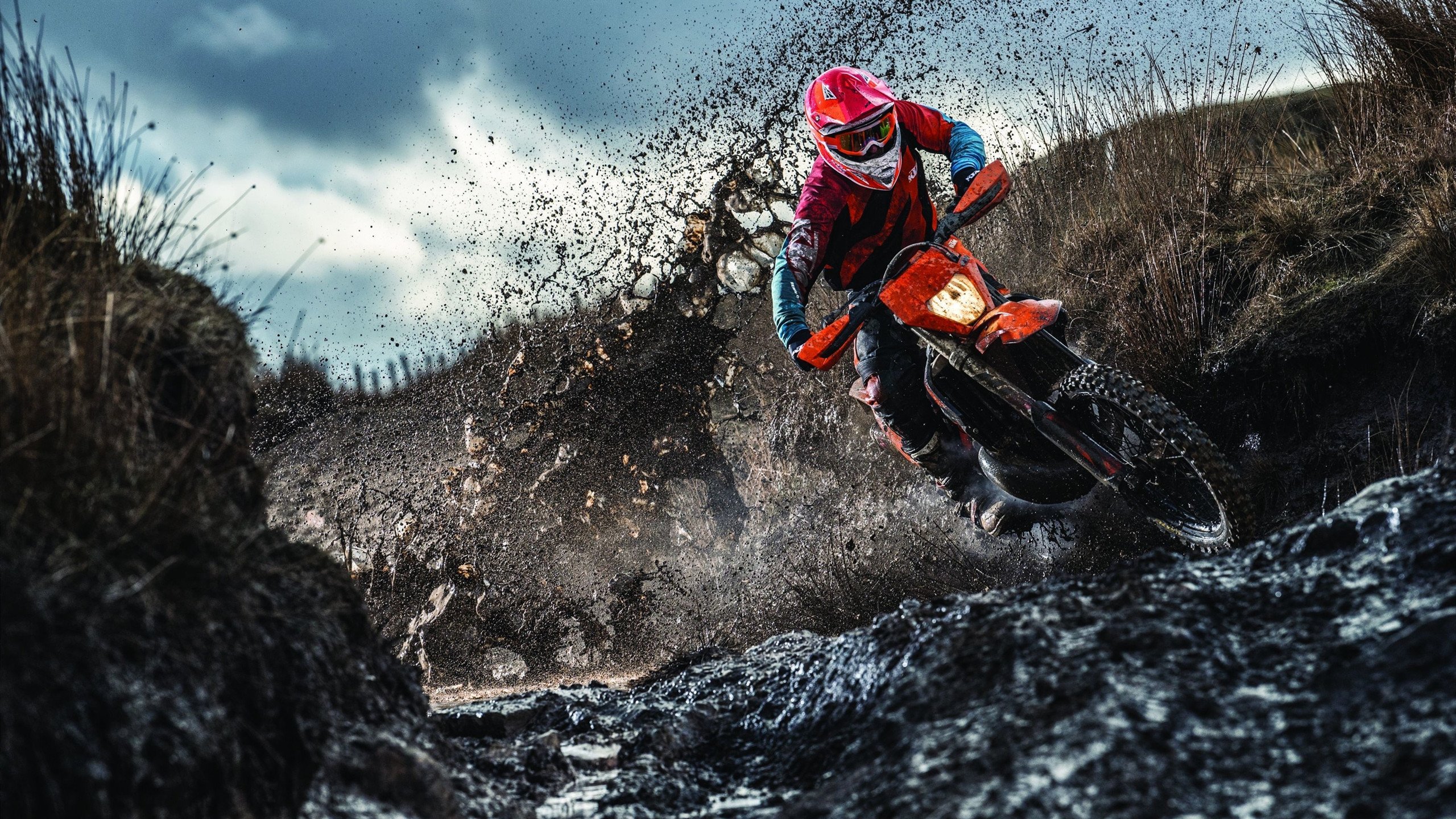 双重奏鸣,法国铁骑横扫北欧,樊振东赛场尽显王者风范